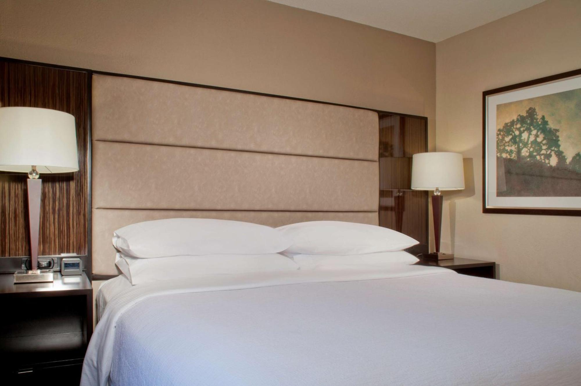 Embassy Suites By Hilton Houston Near The Galleria Eksteriør bilde