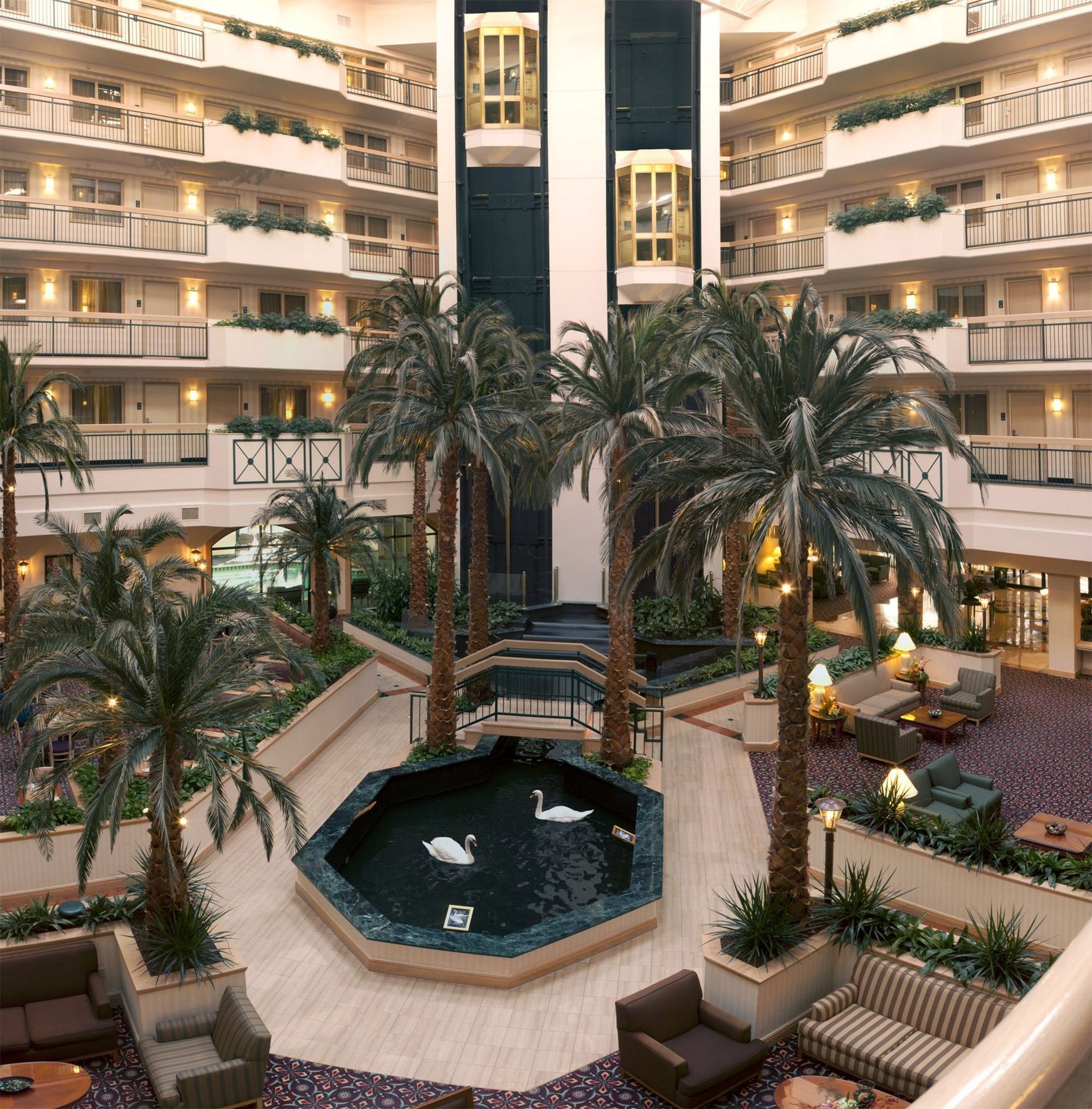 Embassy Suites By Hilton Houston Near The Galleria Eksteriør bilde